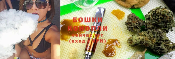 соль ск Белокуриха