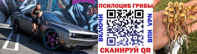 даркнет сайт  ссылка на мегу ТОР  Псилоцибиновые грибы Psilocybe  Яхрома 